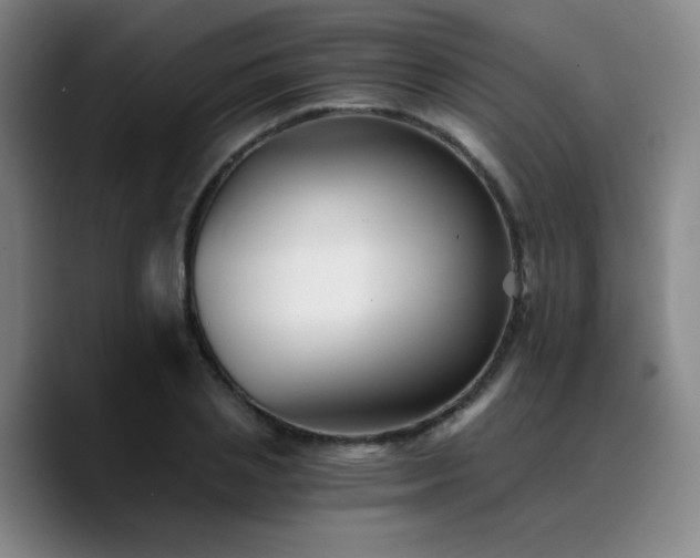 X0000090720837200707201347