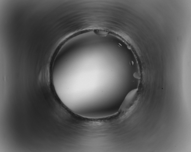 X0000090720838200707201347