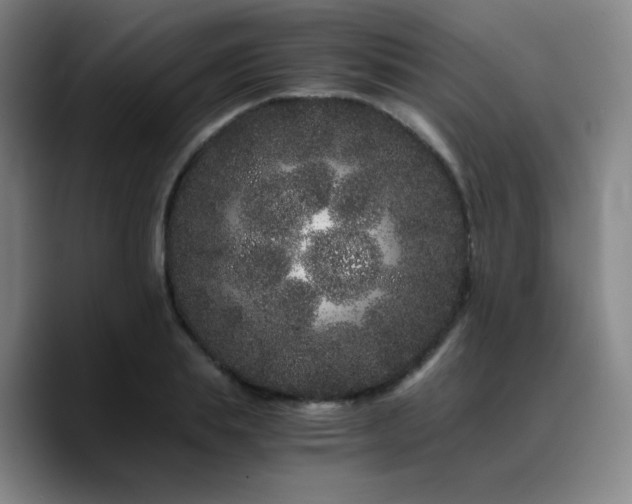 X0000090720839200707201347