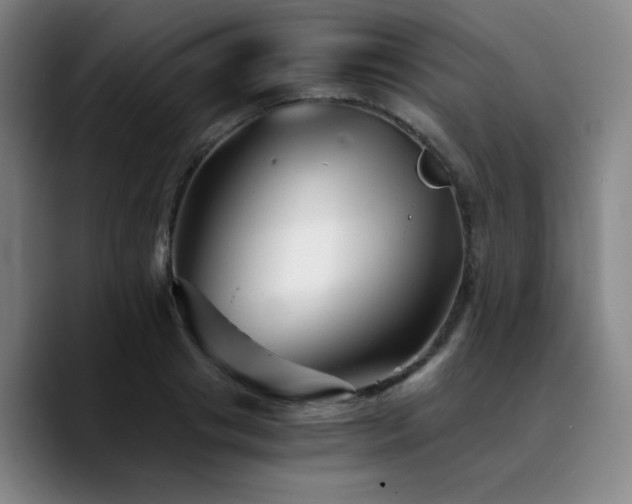 X0000090720841200707201347