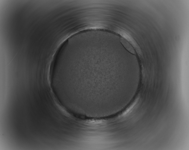 X0000090720842200707201347