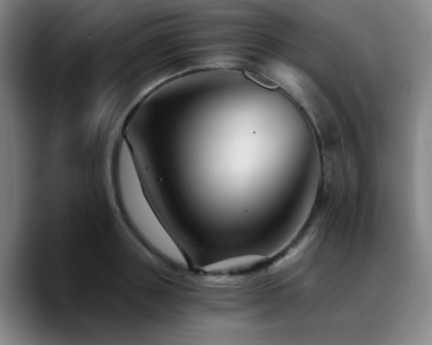X0000090720843200707201347
