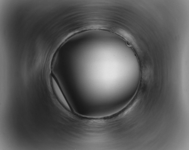 X0000090720844200707201347