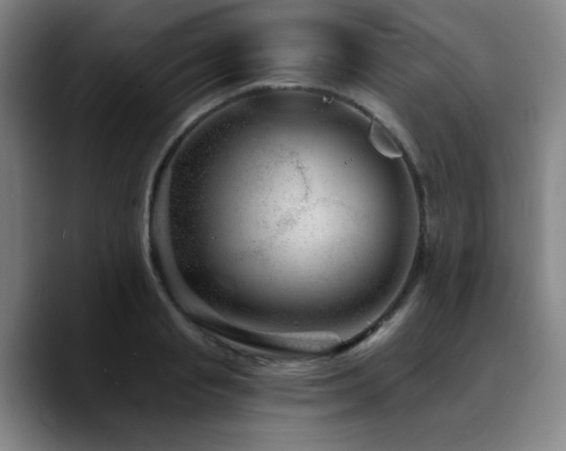 X0000090720845200707201347