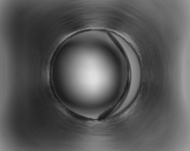 X0000090720846200707201347