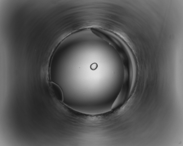 X0000090720850200707201347