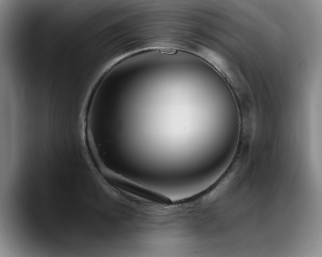 X0000090720854200707201347