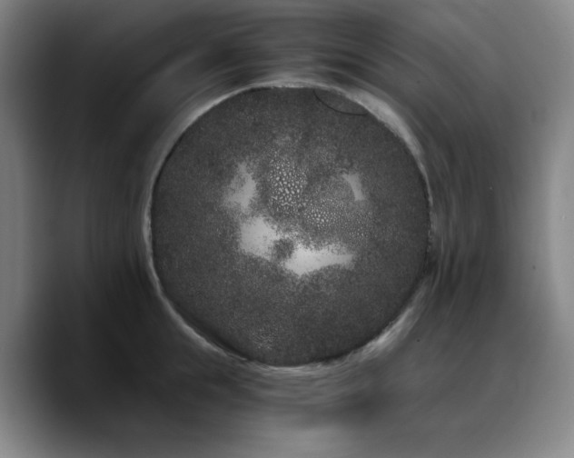 X0000090720855200707201347