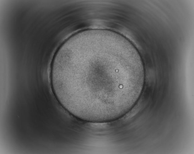 X0000090720856200707201347
