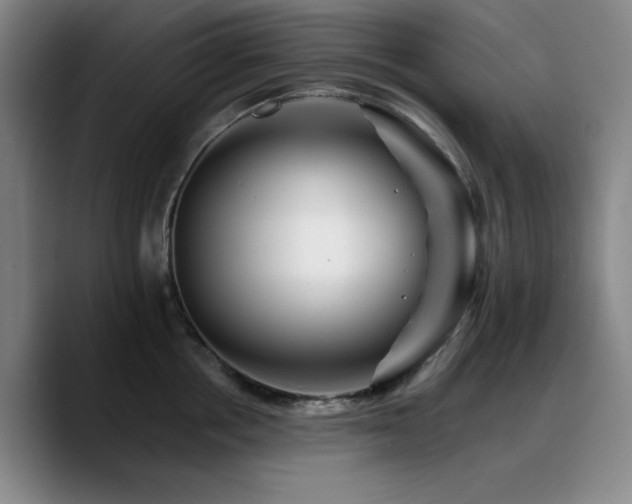 X0000090720858200707201347