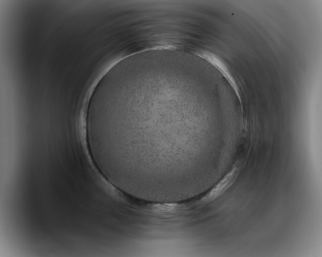 X0000090720859200707201347