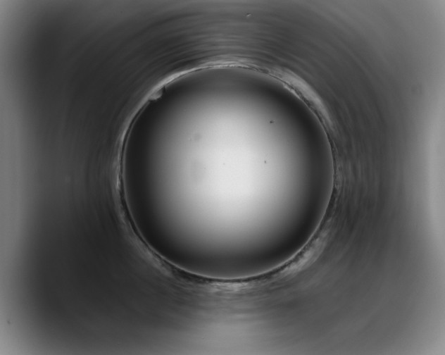 X0000090720860200707201347