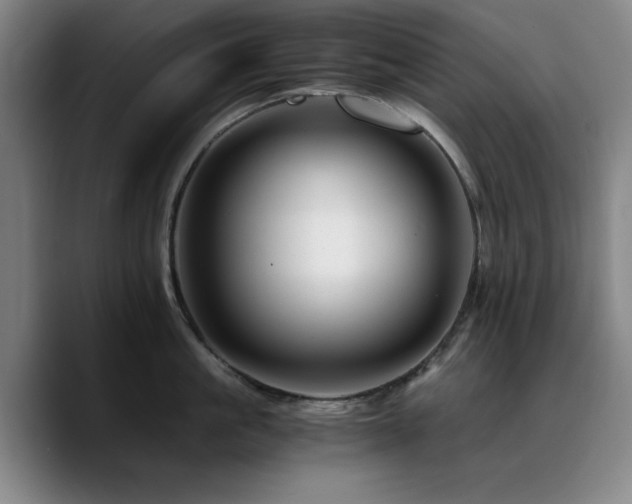 X0000090720861200707201347