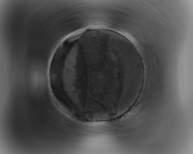 X0000090720864200707201347