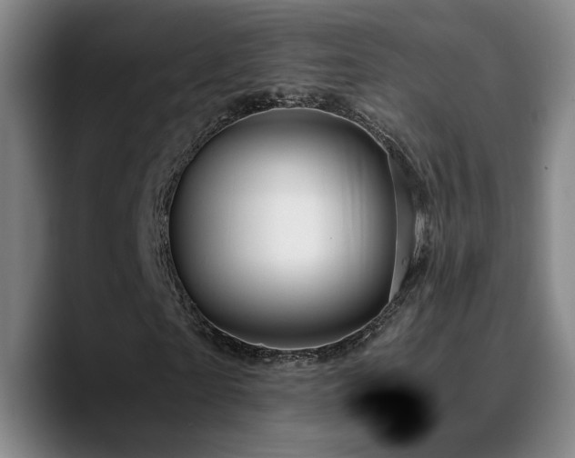 X0000090720865200707201346