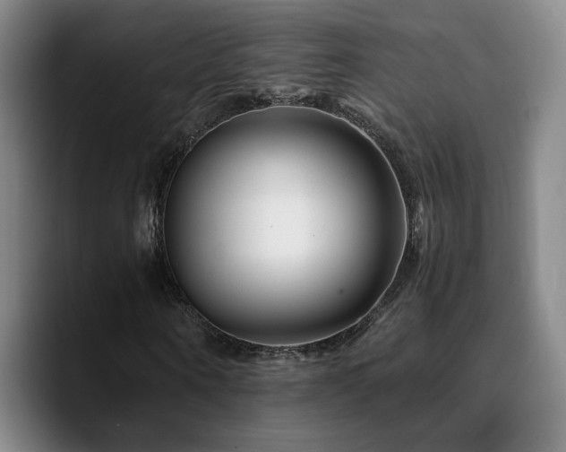 X0000090720866200707201346