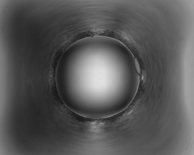 X0000090720867200707201346