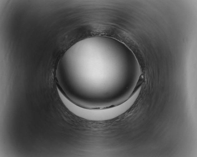 X0000090720868200707201346