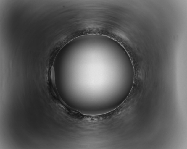 X0000090720869200707201346