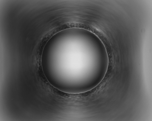 X0000090720870200707201346