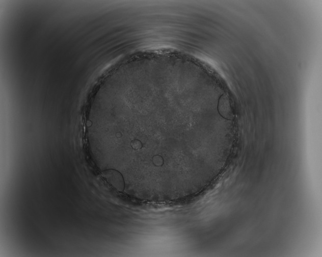 X0000090720871200707201346