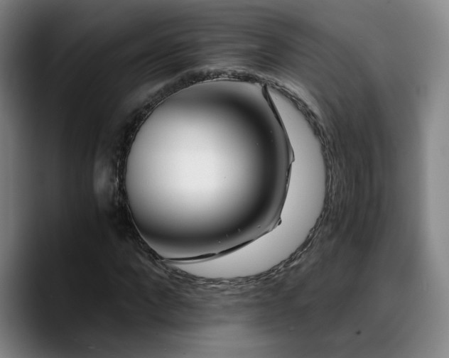 X0000090720872200707201346