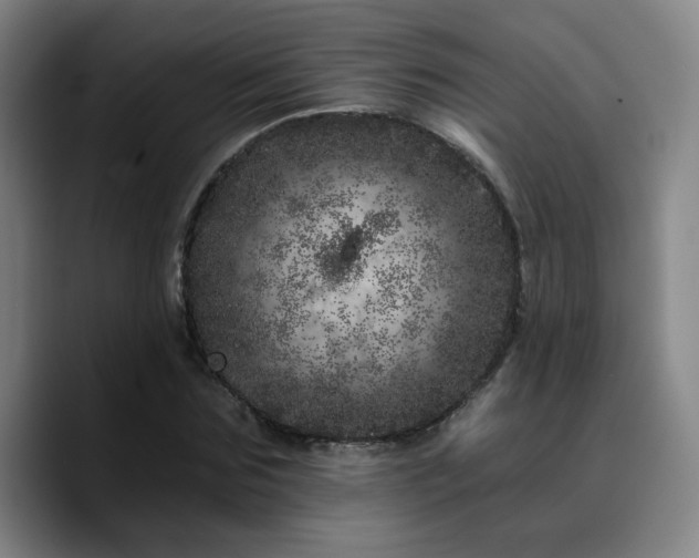 X0000090720875200707201346