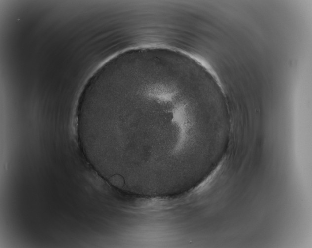 X0000090720879200707201346