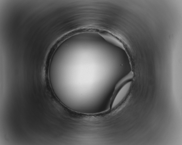 X0000090720880200707201346