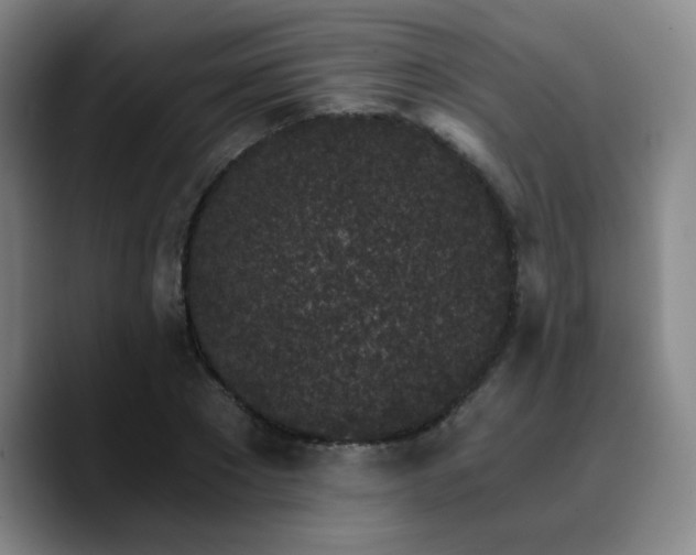 X0000090720881200707201346