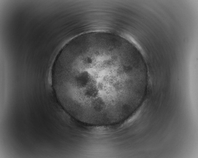 X0000090720883200707201346