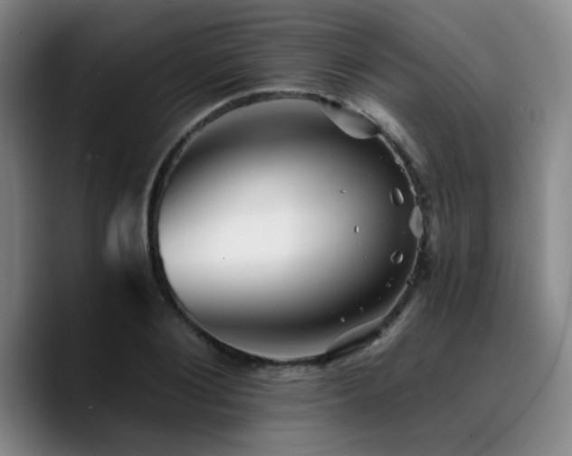 X0000090720884200707201346