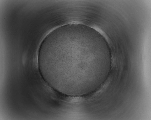 X0000090720886200707201346