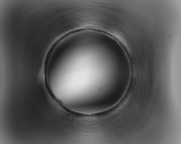 X0000090720888200707201346
