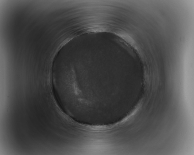 X0000090720889200707201346