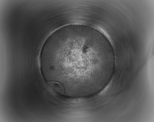 X0000090720891200707201346