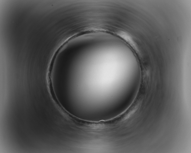 X0000090720893200707201346