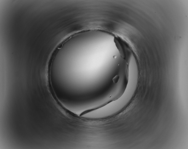 X0000090720894200707201346