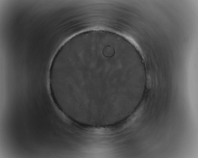 X0000090720895200707201346