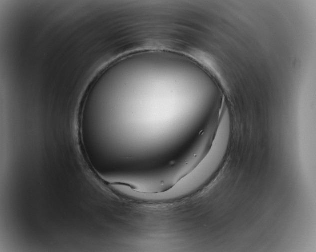 X0000090720896200707201346