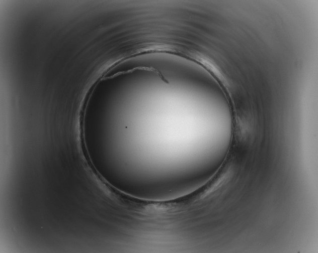 X0000090720898200707201346