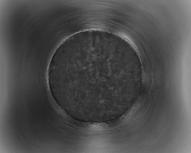 X0000090720899200707201345