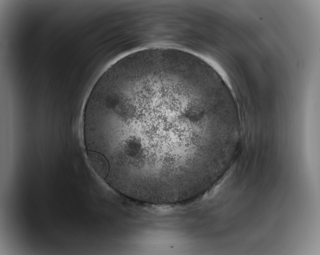 X0000090720911200707201345