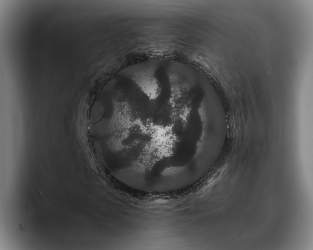 X0000090720913200707201345