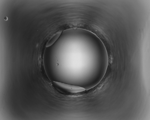 X0000090720915200707201345