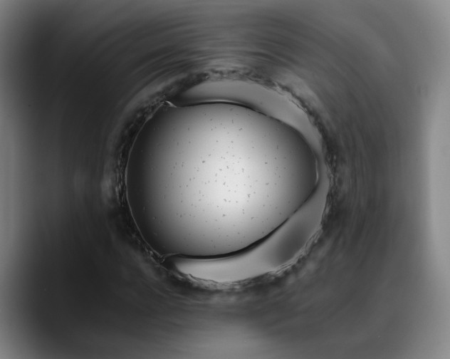 X0000090720920200707201345