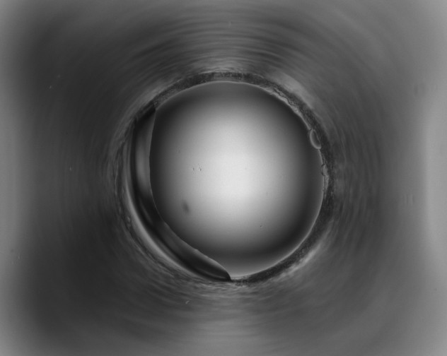 X0000090720922200707201345