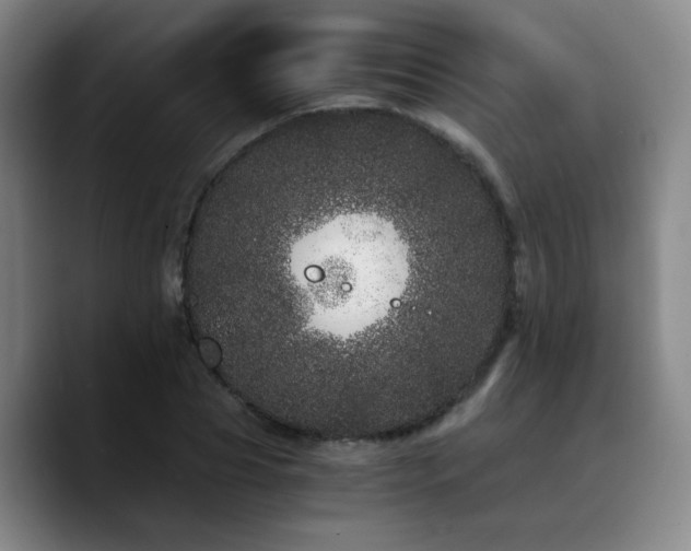 X0000090720929200707201345