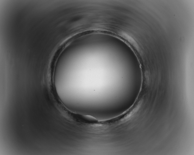 X0000090720931200707201345