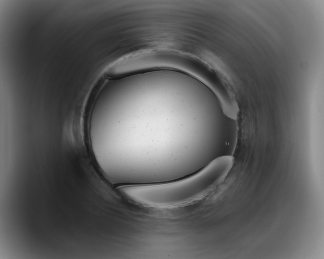 X0000090720932200707201345